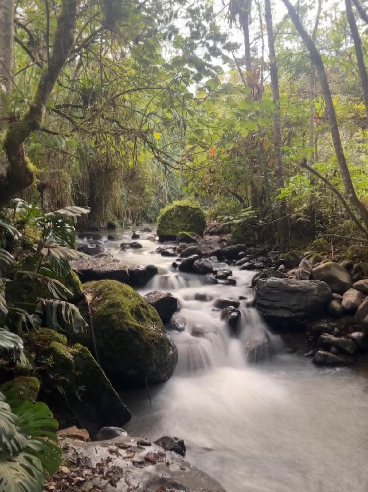 Hotel Campestre Rocas Del Paraiso Machetá エクステリア 写真